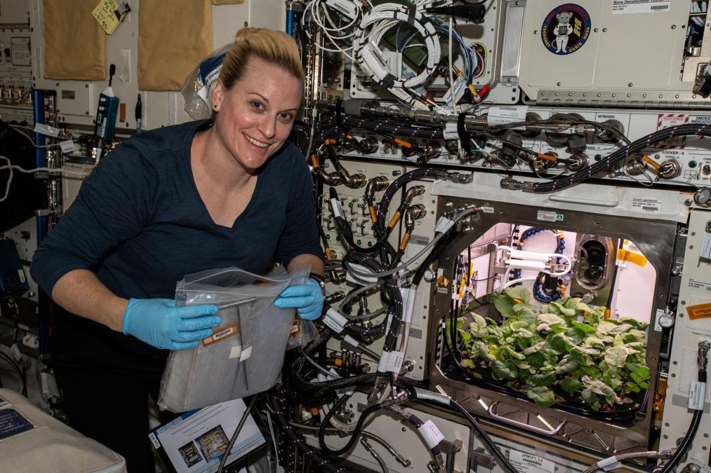 Unknown Bacteria Found Living On The International Space Station